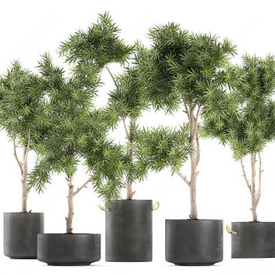 现代绿植盆栽3D模型下载